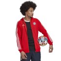 Bluza adidas FC Bayern DNA FZ HD HF1356