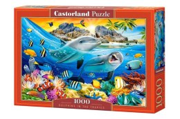 Puzzle 1000 el. Dolphins in the Tropics