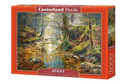 Puzzle 2000 el. Reminiscence of the Autumn Forest