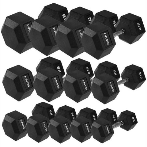 HMS HEX PRO 30 KG HANTLA HMS