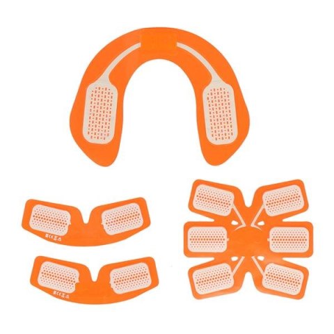 HMS ABS MASTER PRO MULTI SET ELEKTROSTYMULATOR MIĘŚNI NN HMS