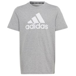Koszulka adidas Big Logo Tee HR6379