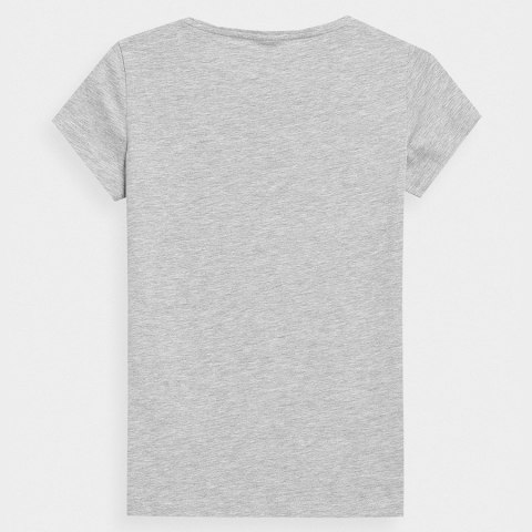 T-Shirt 4F 4FSS23TTSHF580 27M