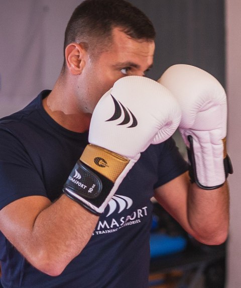 Rękawice bokserskie LION