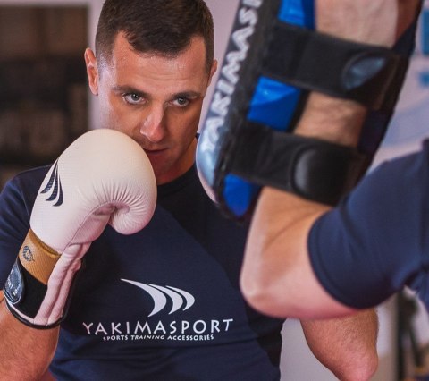 Rękawice bokserskie LION