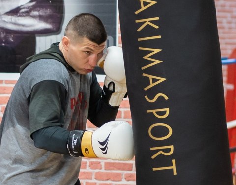 Rękawice bokserskie LION