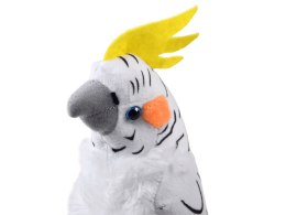 Maskotka Papuga biała nimfa 17cm 13574