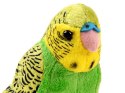 Maskotka zielona Papuga falista 13cm 13847