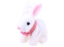 Uroczy Interaktywny Królik w koszyczku + akcesoria MASKOTKA ZA3551