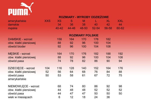 Bluza Puma AC Milan FtbCore Graphic Hoody 772316-01