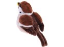 Maskotka Wróbel zwyczajny wróbelek ptaszek pluszak 13cm 13957