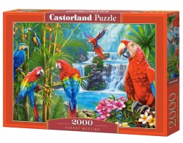 Puzzle 2000 elementów C-200870 Parrot Meeting papugi