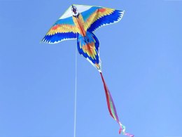 Kolorowy lekki Latawiec Papuga Ara ptak ZA4414