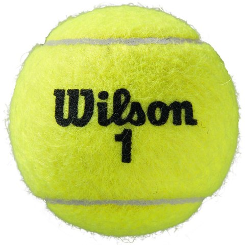 Wilson Piłki do tenisa ziemnego Wilson Roland Garros All Court 4 szt. WRT116400