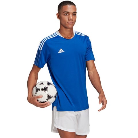 Adidas teamwear Koszulka męska adidas Tiro 21 Training Jersey niebieska GM7589