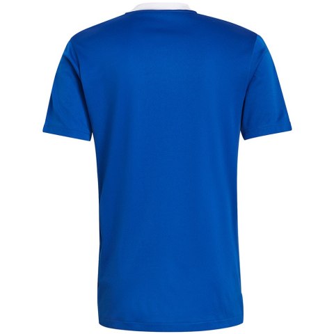Adidas teamwear Koszulka męska adidas Tiro 21 Training Jersey niebieska GM7589