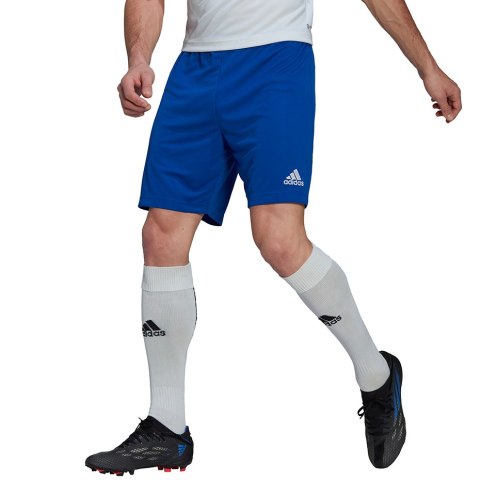 Adidas teamwear Spodenki męskie adidas Entrada 22 niebieskie HG6294
