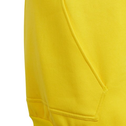 Adidas teamwear Bluza dla dzieci adidas Entrada 22 Hoody żółta HI2142