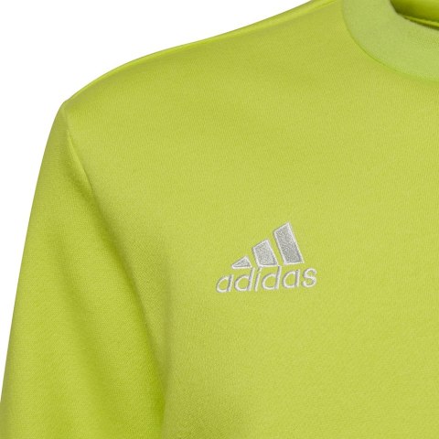 Adidas teamwear Bluza dla dzieci adidas Entrada 22 Sweat Top limonkowa HC5043