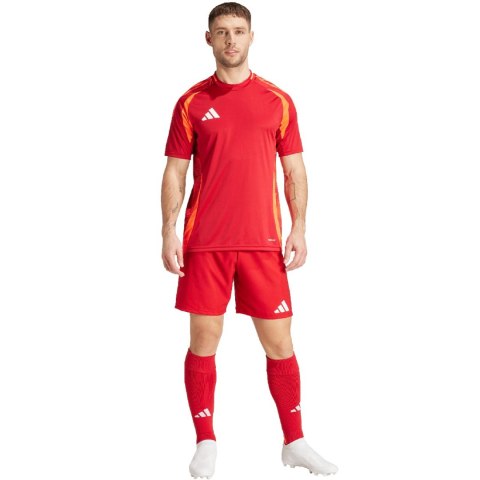 Adidas teamwear Spodenki męskie adidas Tiro 24 Competition Match czerwone IK2245