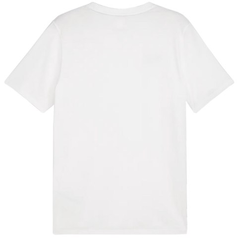 Puma Koszulka męska Puma Team Goal Casuals Tee biała 658615 04