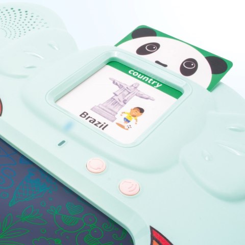 Tablica do rysowania Czytnik kart do nauki języka angielskiego 112 kart dwustronnych Sun Baby zielony