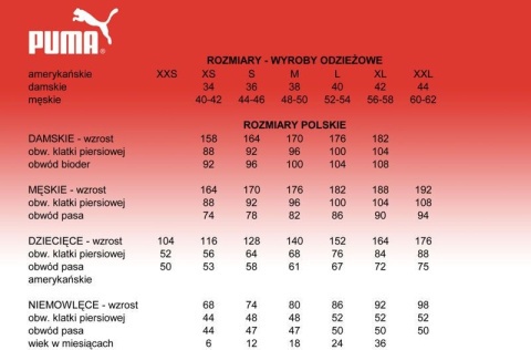 Puma Koszulka męska Puma teamLIGA Jersey czerwona 704917 01