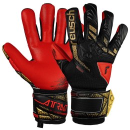 Rękawice Reusch Attrakt Freegel Silver 55 70 235 7075