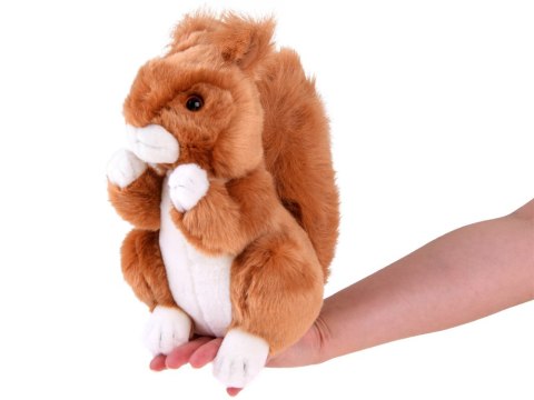 Maskotka ruda Wiewiórka pospolita 22cm 13398