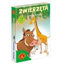 Alexander Karciana gra pamięciowa Karty Piotruś - Zwierzęta GR0808
